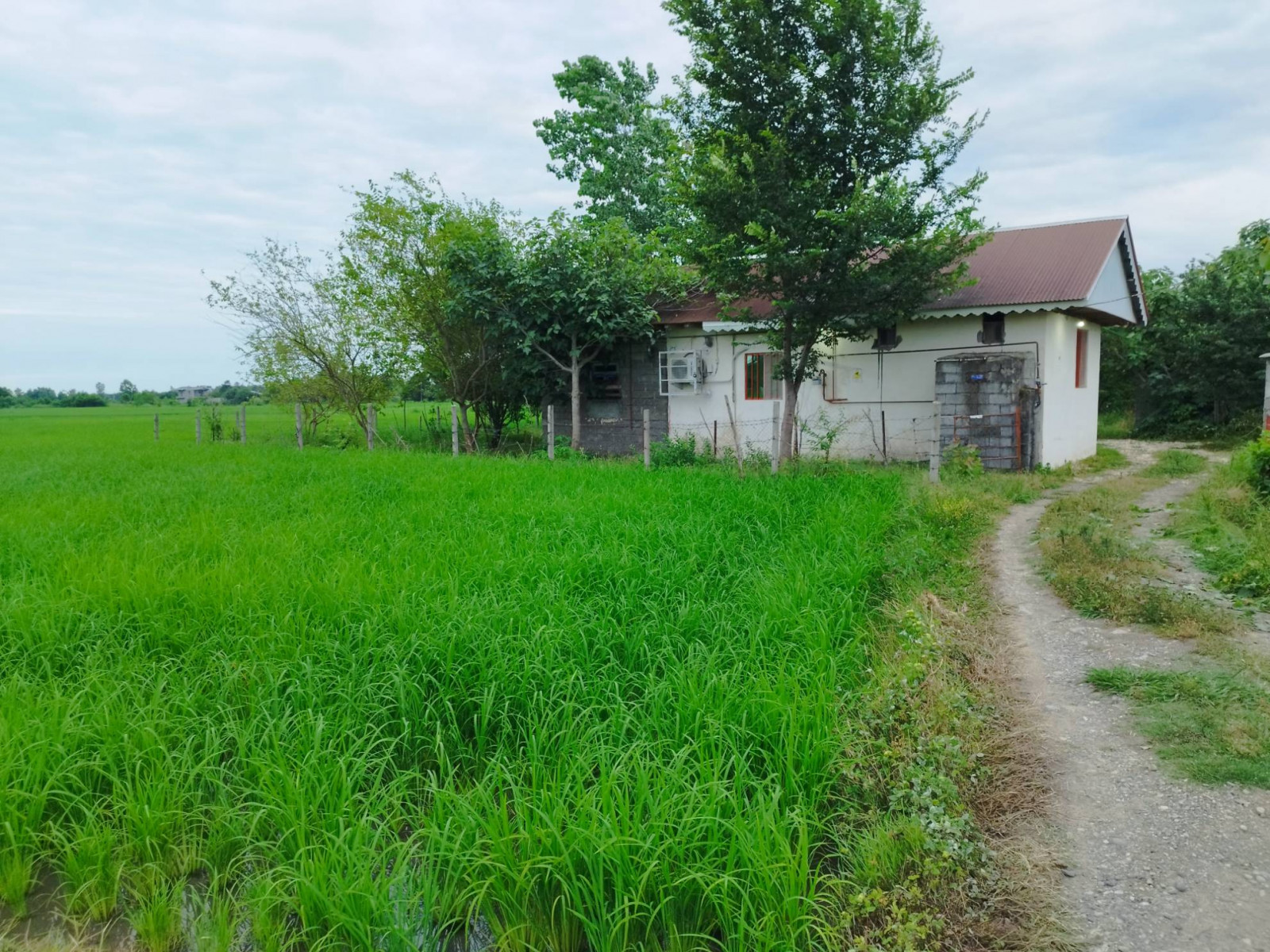 ورودی ورودی