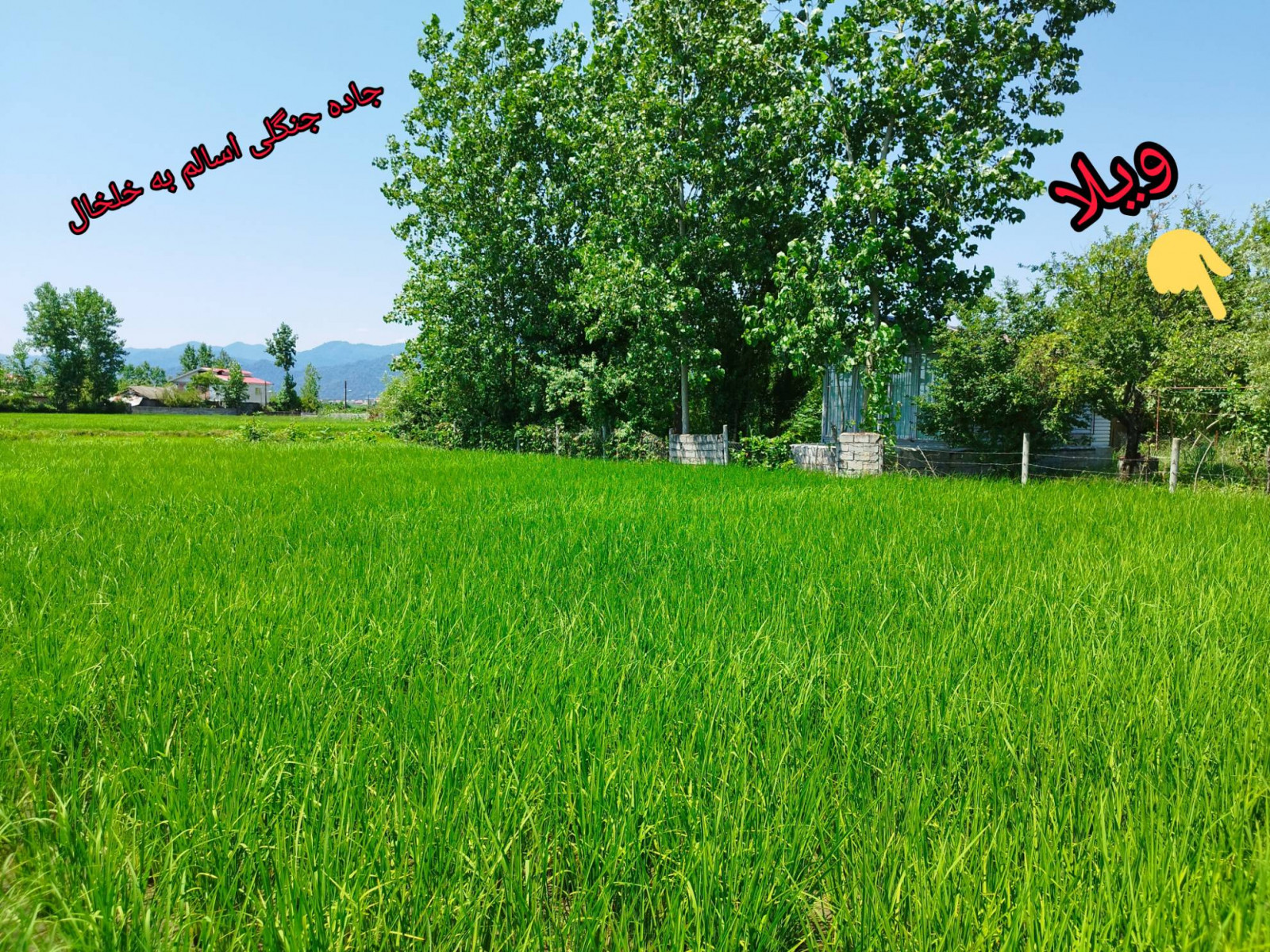 موقعیت ویلا موقعیت ویلا