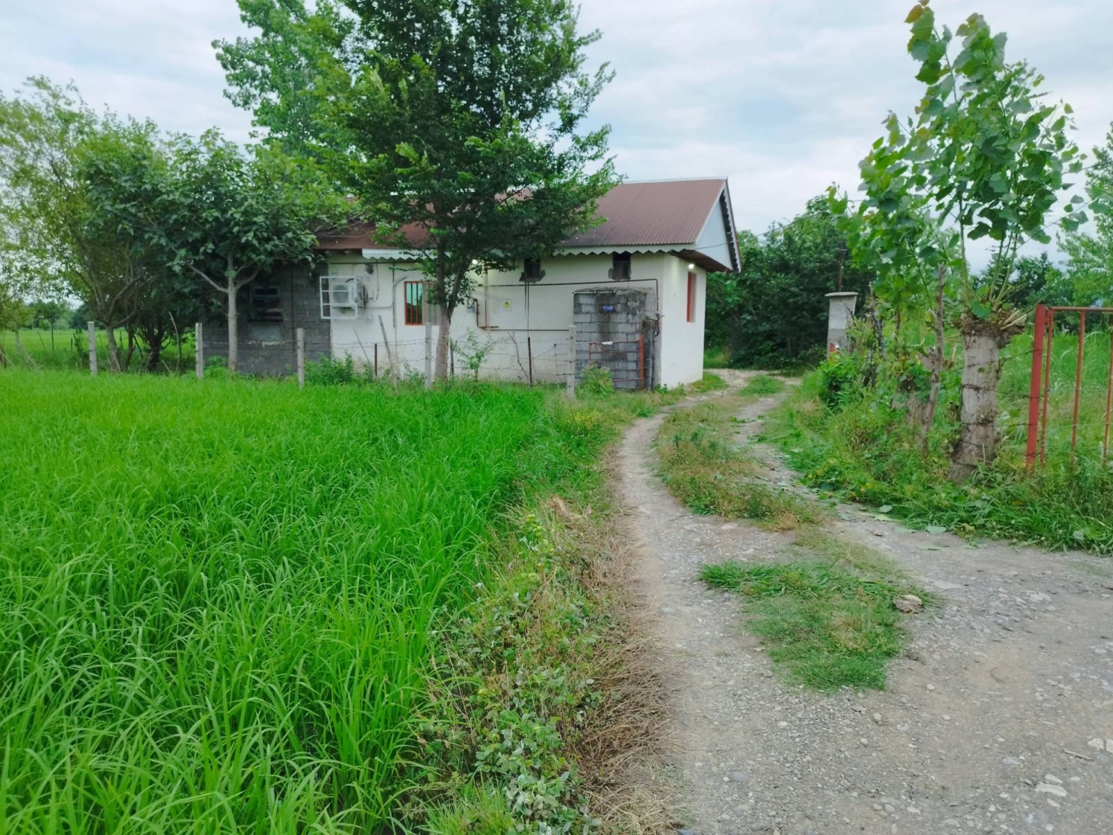 نمای بیرونی ساختمان نمای بیرونی ساختمان