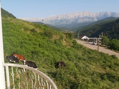 ویلای دوبلکس سه خوابه جنگلی
