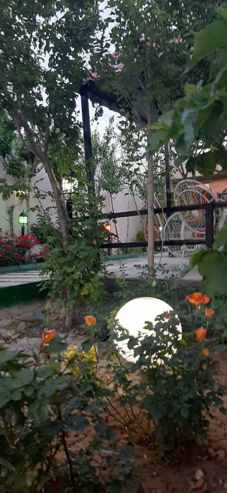 نمای حیاط