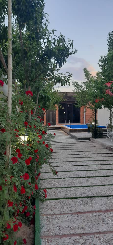 نمای حیاط