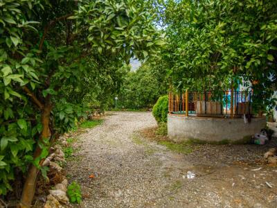اجاره باغ ویلا سه خوابه استخردار
