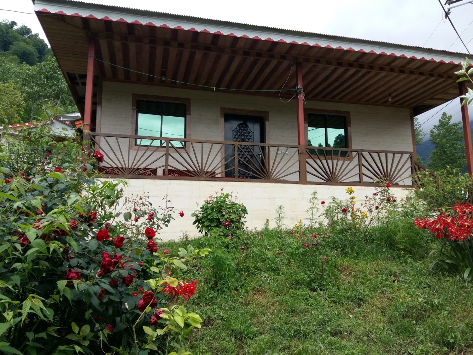 نمای جلو نمای جلو