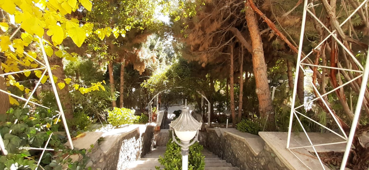 پله های ورودی