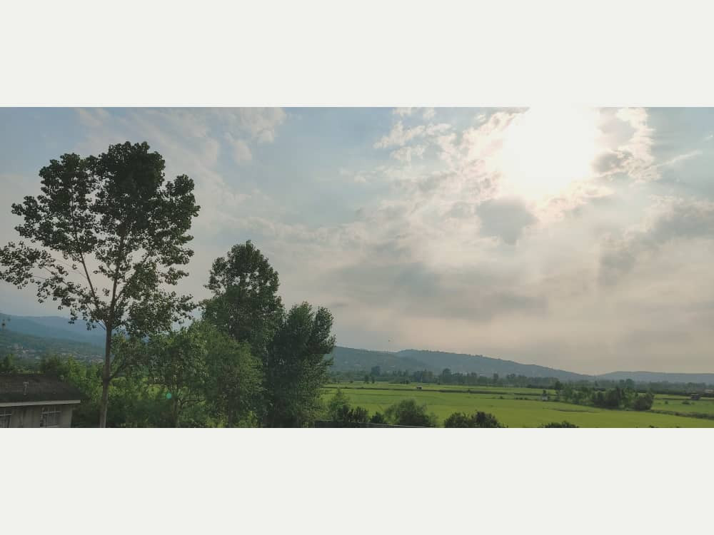 ویو واحد ویو واحد