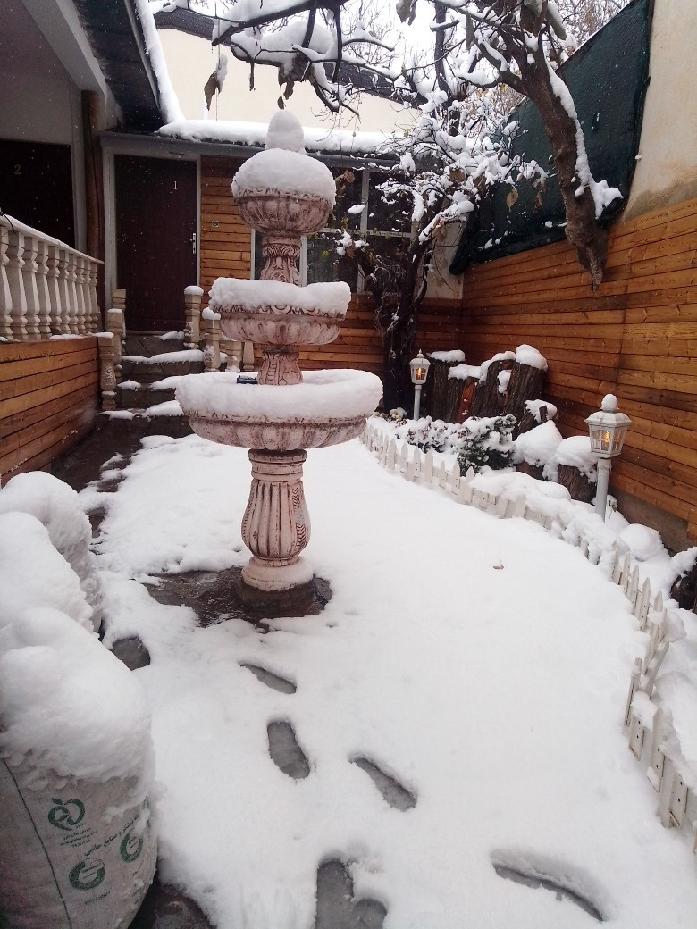 حیاط زمستان حیاط