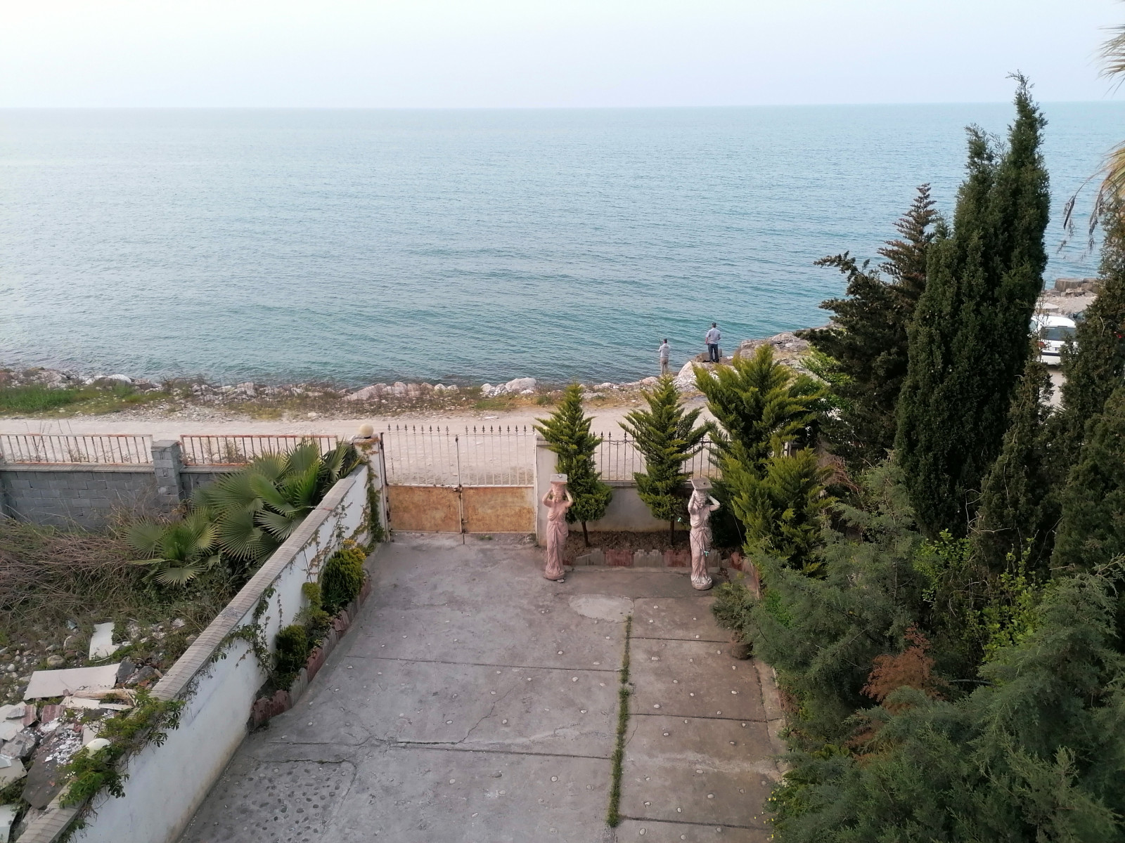 ویوی دریا