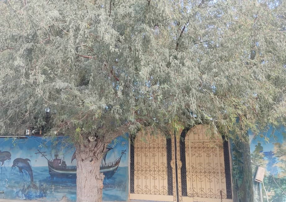 ورودی اقامتگاه