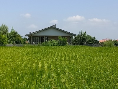 ویلا باغ جنگلی "گلستان"