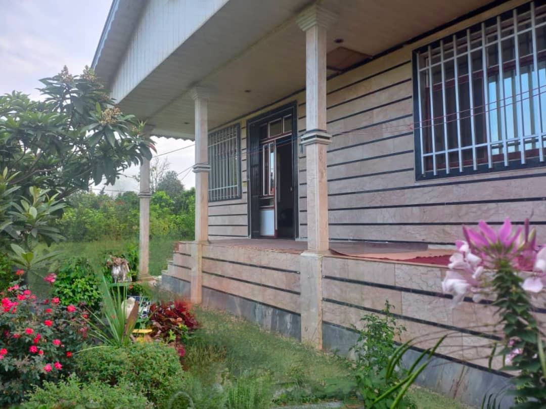 نمای ساختمان نمای ساختمان