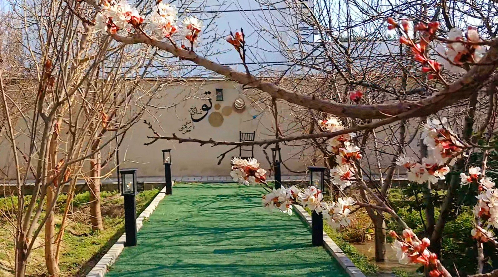 حیاط