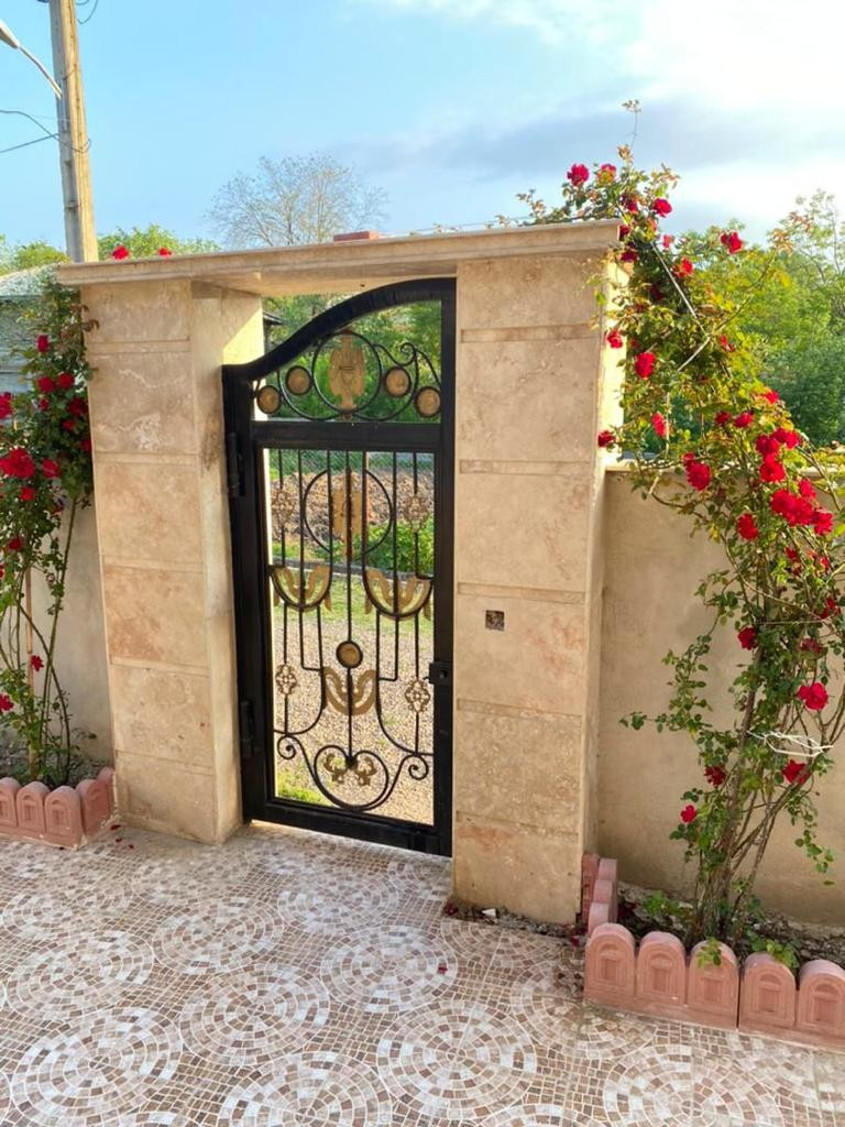 ورودی ورودی