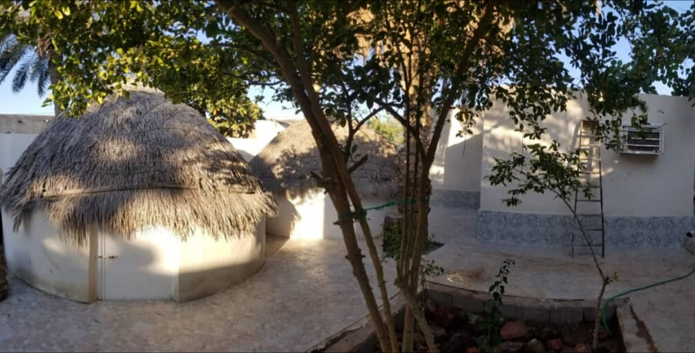 حیاط