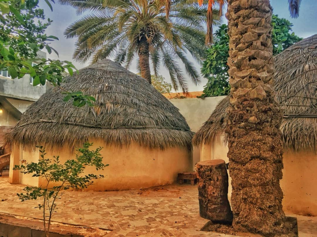 حیاط