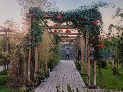 اقامتگاه آرشا کلاب "اتاق 1"