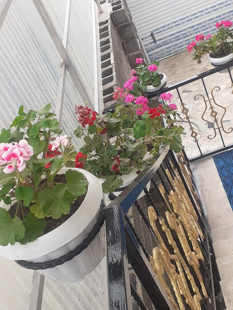 راه پله راه پله