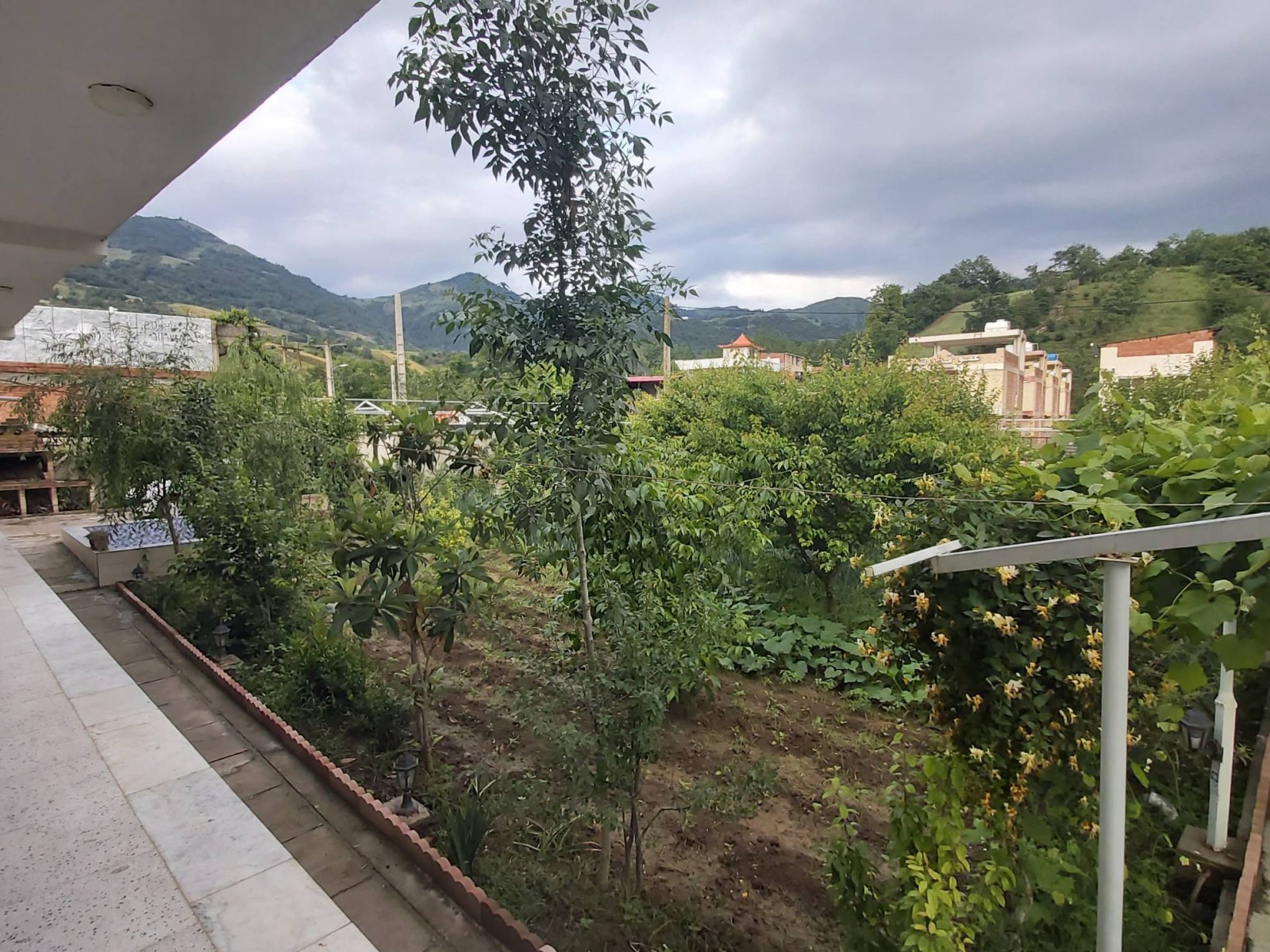 حیاط ویلا باغ پر از درخت