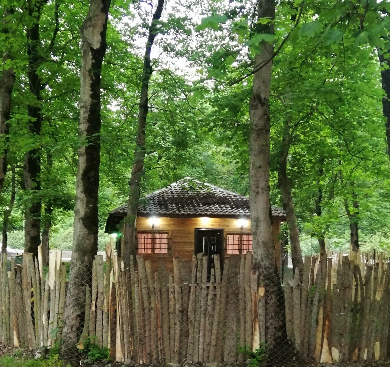 نمای کلبه نمای کلبه