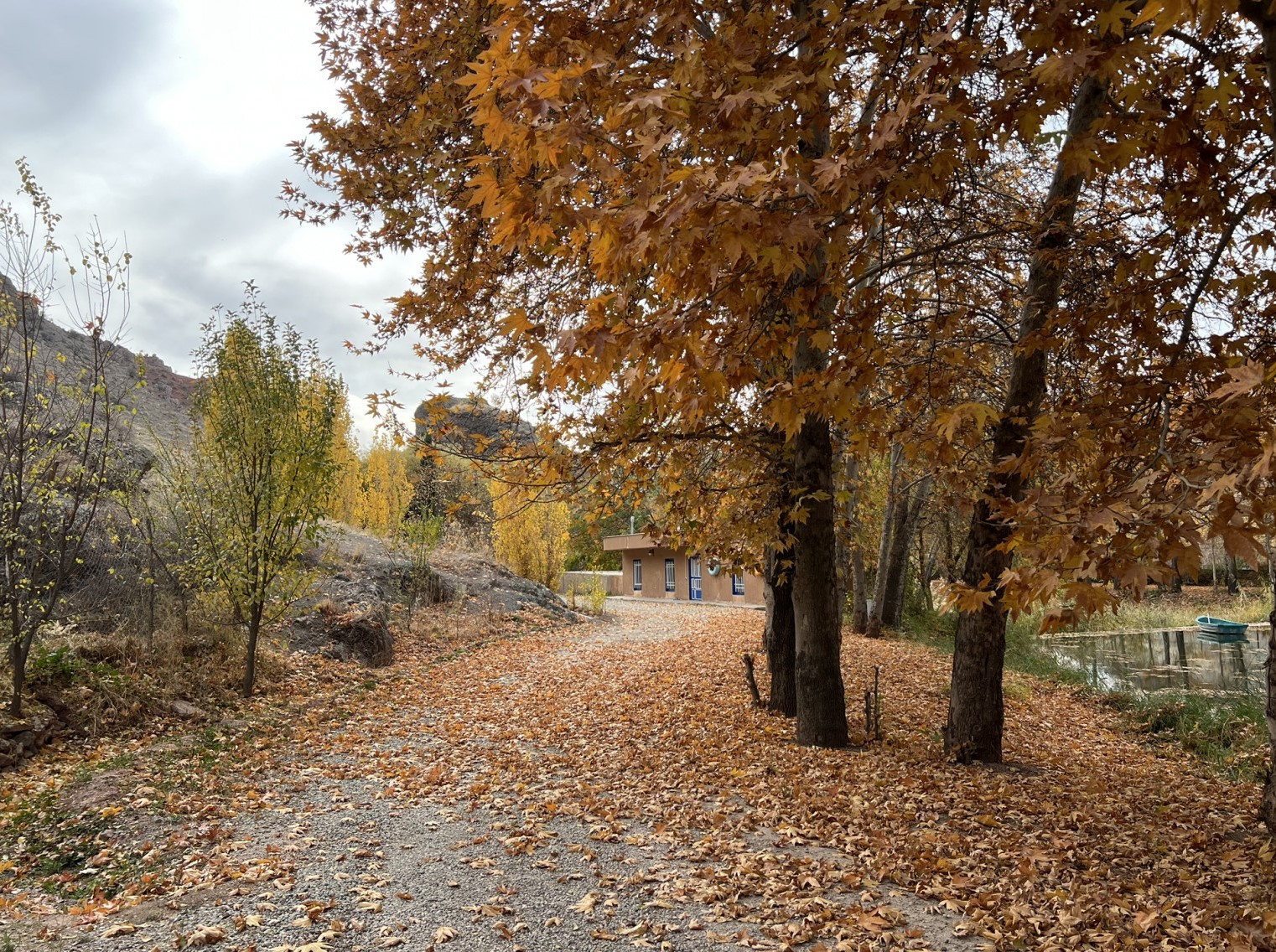 محوطه ورودی اقامتگاه محوطه ورودی اقامتگاه