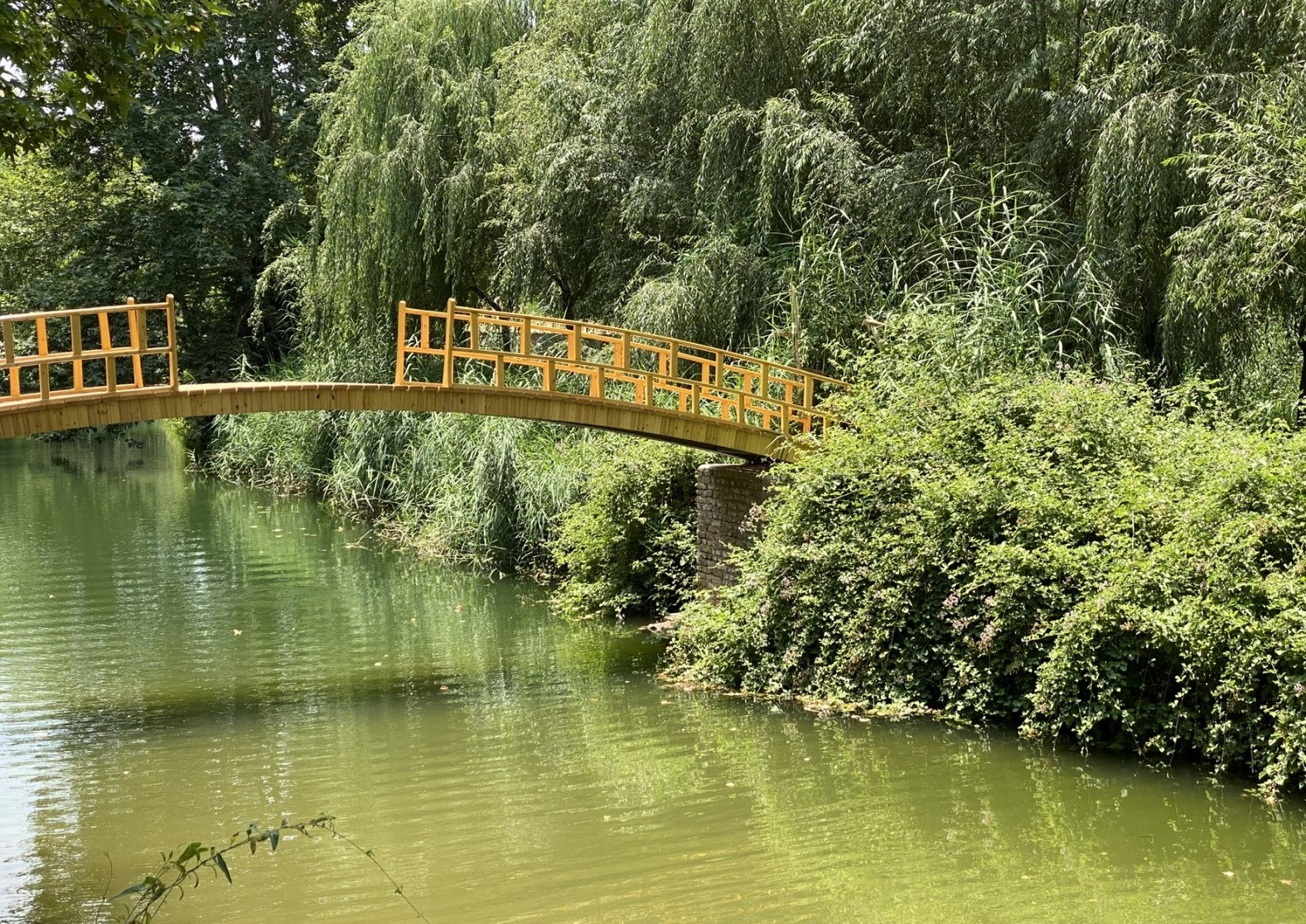 پل چوبی نزدیک اقامتگاه پل چوبی نزدیک اقامتگاه