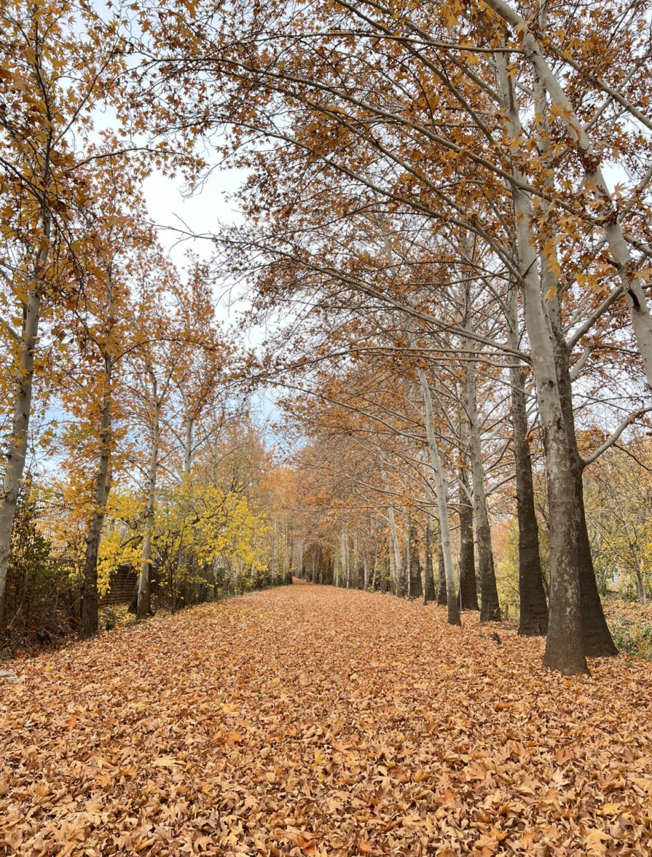 محوطه بیرون اقامتگاه محوطه بیرون اقامتگاه