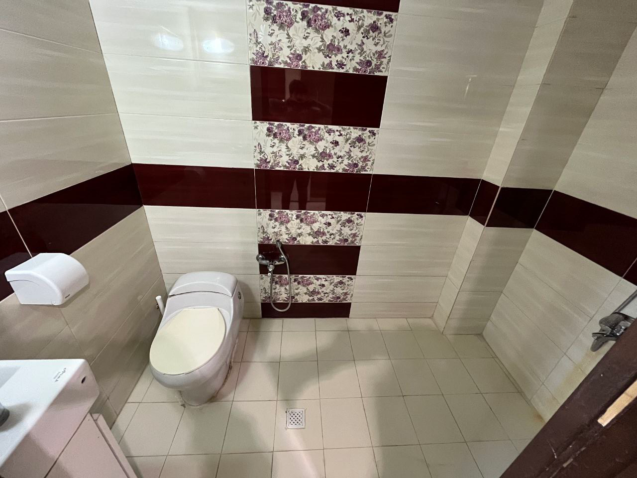 سرویس بهداشتی