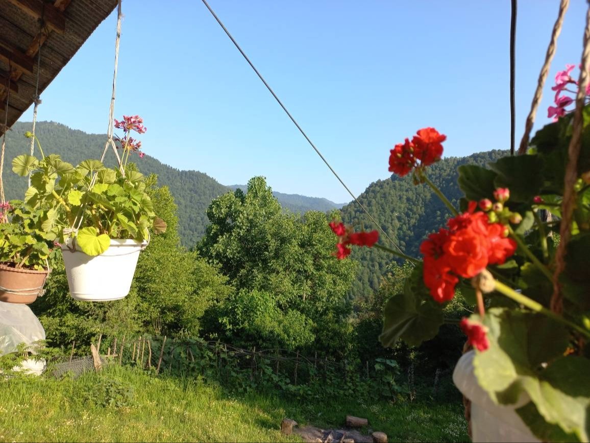 چشم انداز اقامتگاه