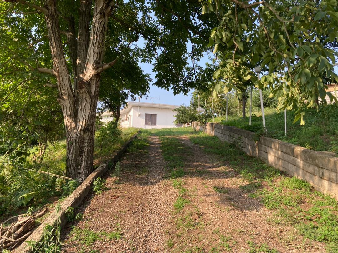 ورودی منتهی به اقامتگاه 