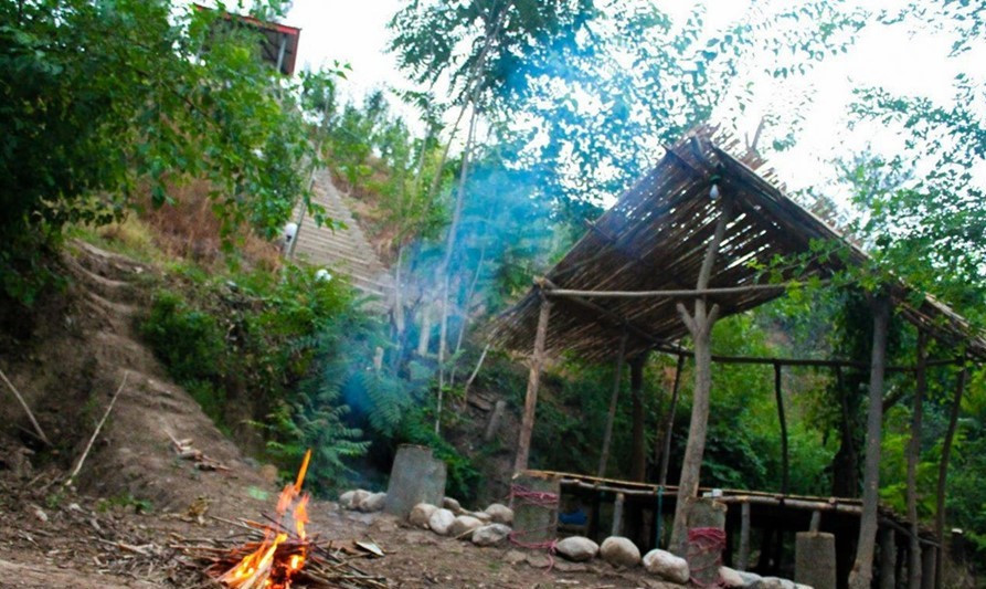 حیاط