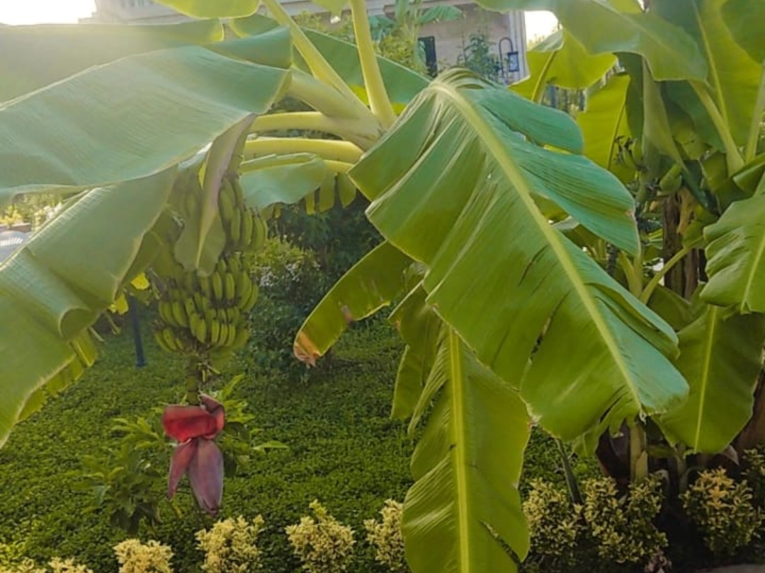 نمای بیرونی ساختمان نمای بیرونی ساختمان