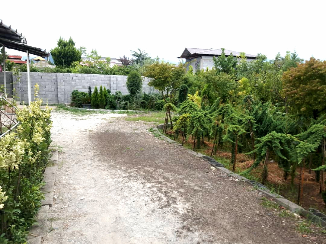 ورودی حیاط ورودی حیاط