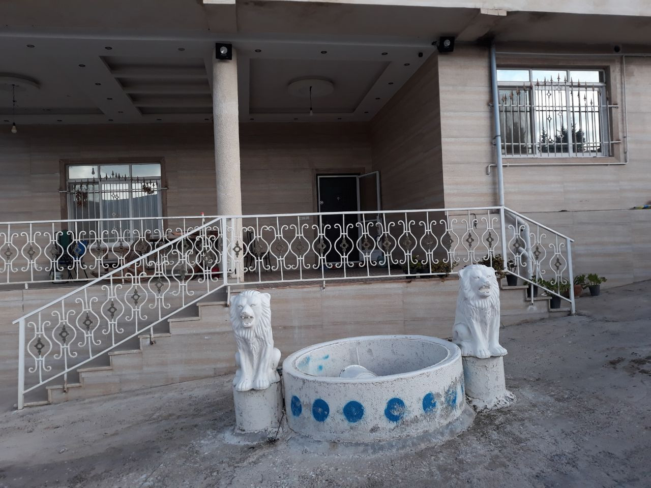 حیاط