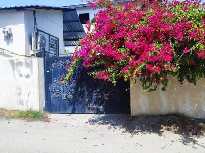 ویلا تک خواب دربست ساحلی نیما ویلا تک خواب دربست ساحلی نیما