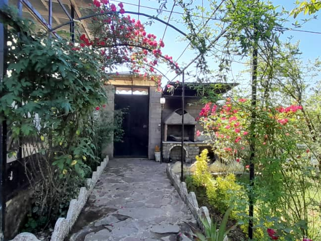 حیاط