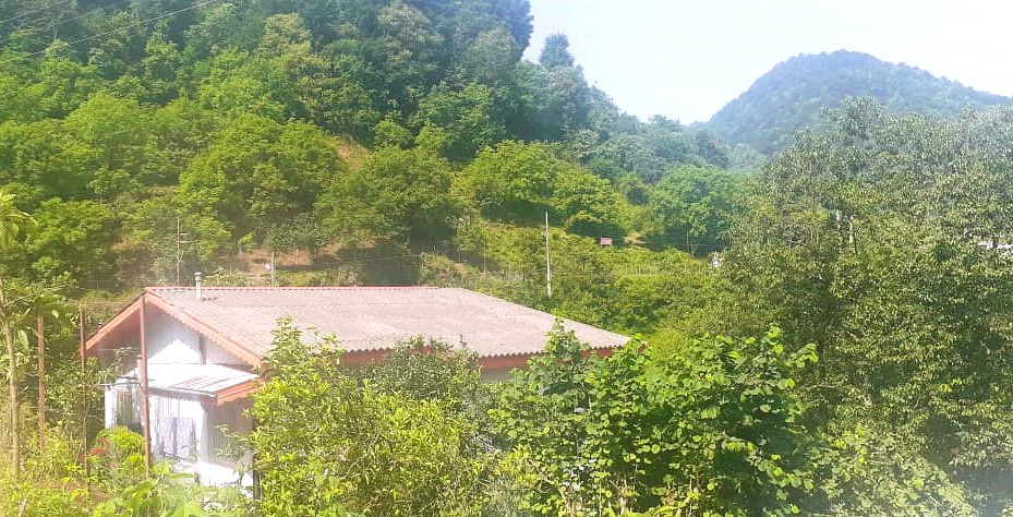 نمای ساختمان