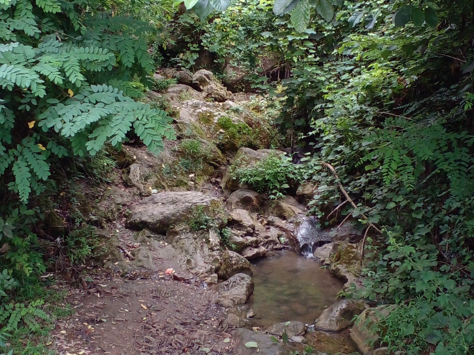 نمای بیرونی ساختمان