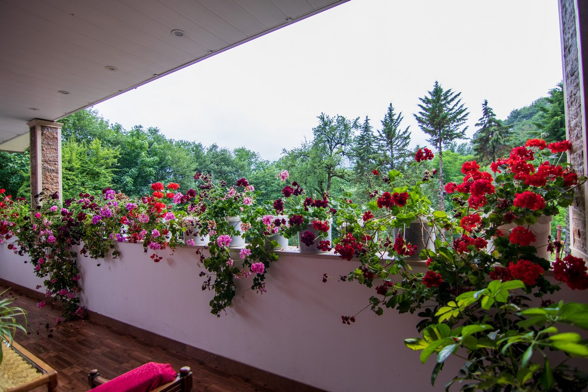 ویوی تراس ویوی تراس