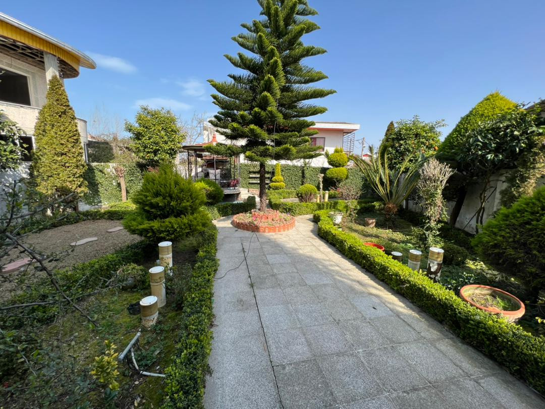 حیاط حیاط