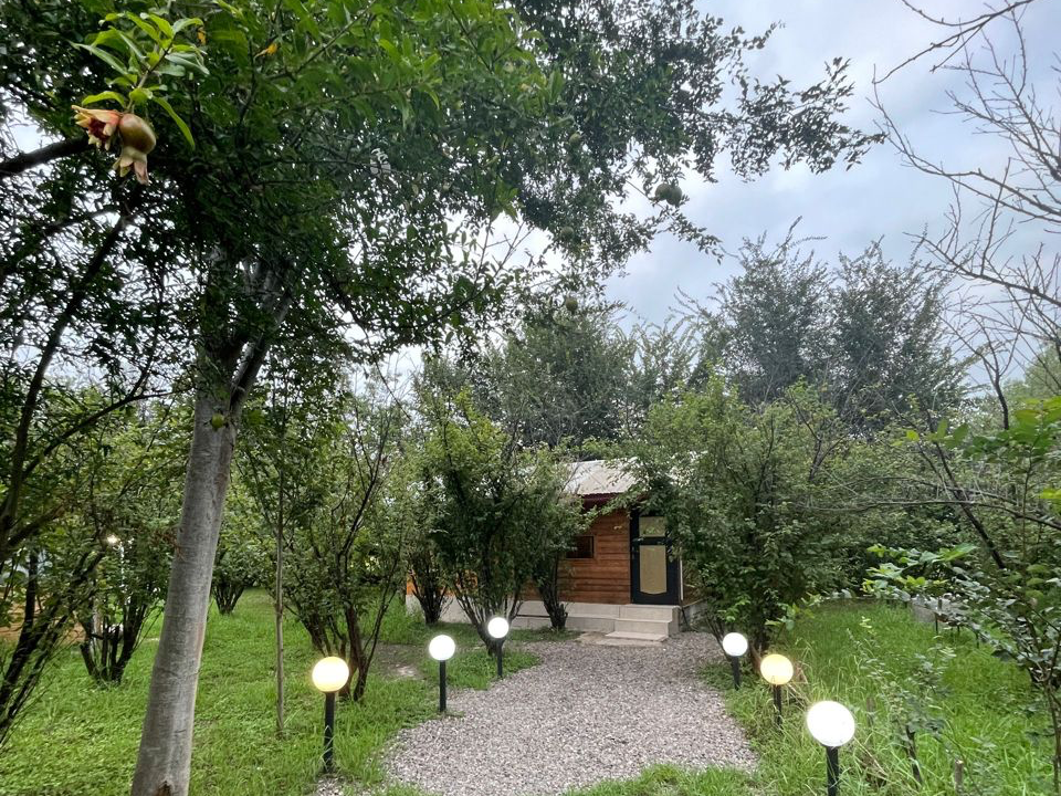 نمای ورودی نمای ورودی