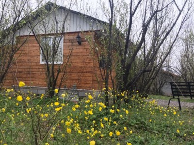 کلبه چوبی در میان باغ