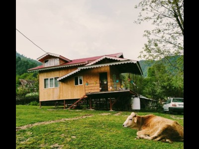 کلبه چوبی دو خوابه در قلب طبیعت سبز و کوهستان کلبه چوبی دو خوابه در قلب طبیعت سبز و کوهستان
