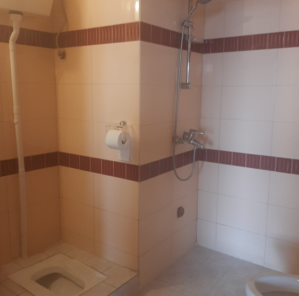 سرویس بهداشتی