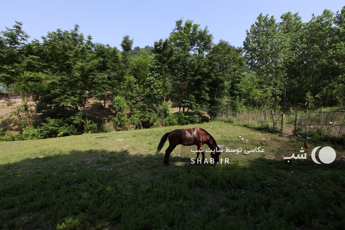 فضای اطراف اقامتگاه فضای اطراف اقامتگاه
