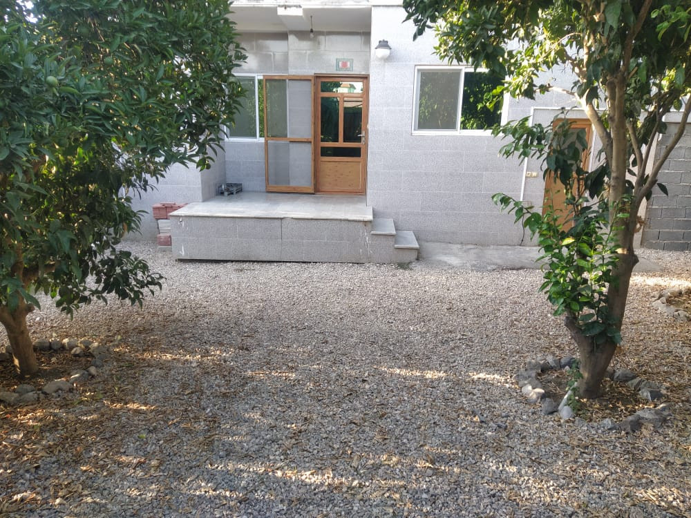 حیاط