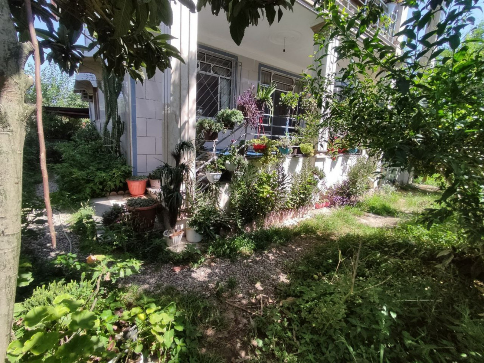 نمای بیرونی