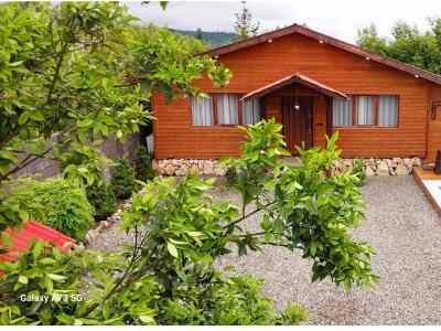 کلبه چوبی استخردار  شونیشت