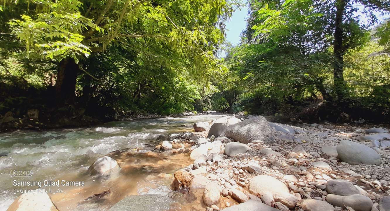 رودخانه پشت آلاچیق رودخانه پشت آلاچیق