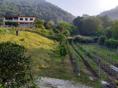 ویلای مبله 5 خوابه نزدیک کاخ و هتل قدیم رامسر