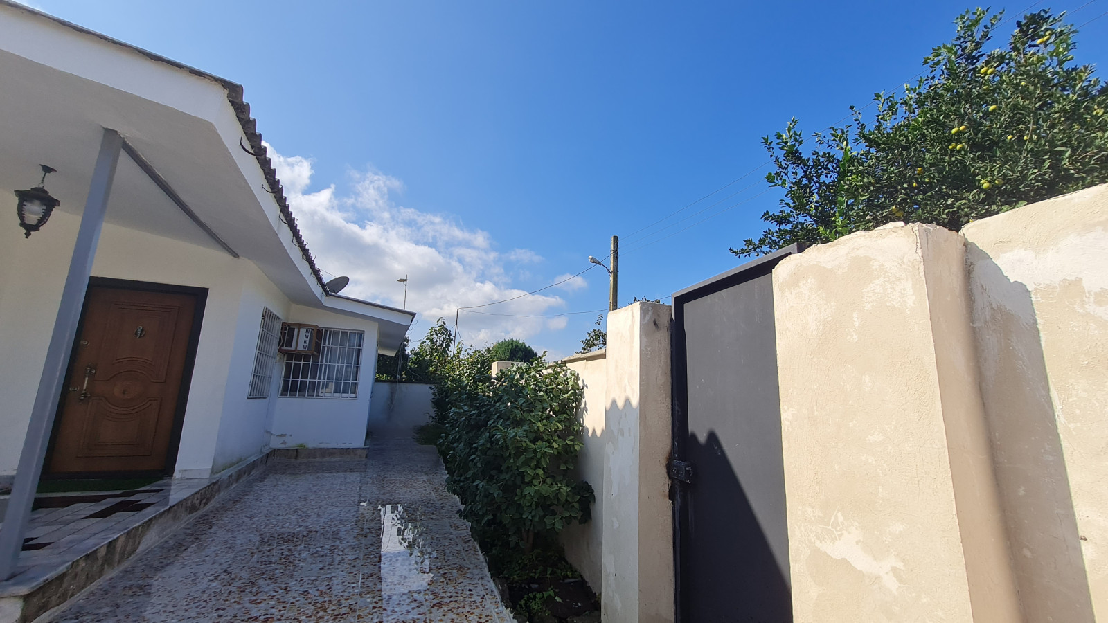 نمای ساختمان نمای ساختمان